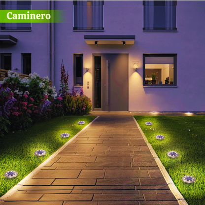 LumiGarden Pro